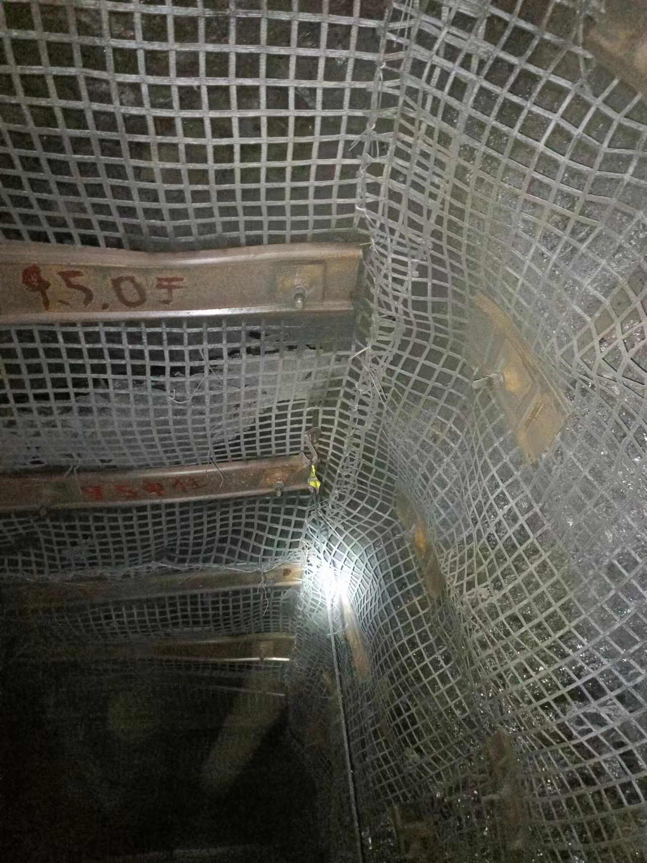 �V�þ����w�S���o�W���ԾW�x��